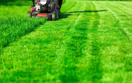 Devis pour tonte de pelouse à Clairoix, Crépy-en-Valois, ANTOINE MIRET